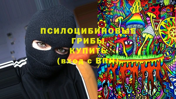 PSILOCYBIN Иннополис