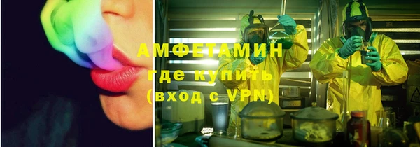 сатива Конаково