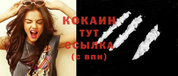 соль ск Инсар