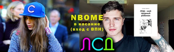 соль ск Инсар