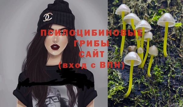 синтетический гашиш Кондопога