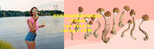 PSILOCYBIN Иннополис