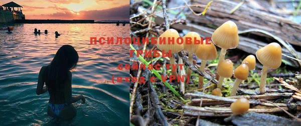 соль ск Инсар