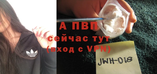 гидра Шадринск