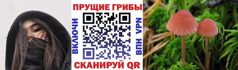 мега ONION  Дмитриев  Галлюциногенные грибы GOLDEN TEACHER 